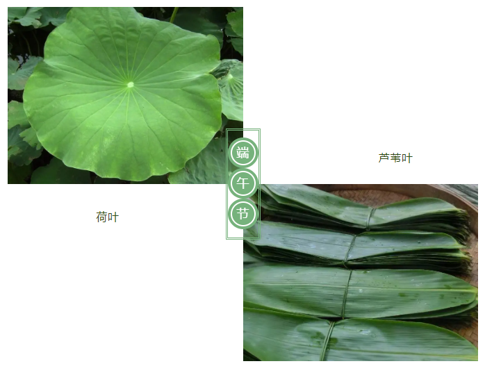 F66永乐医纺