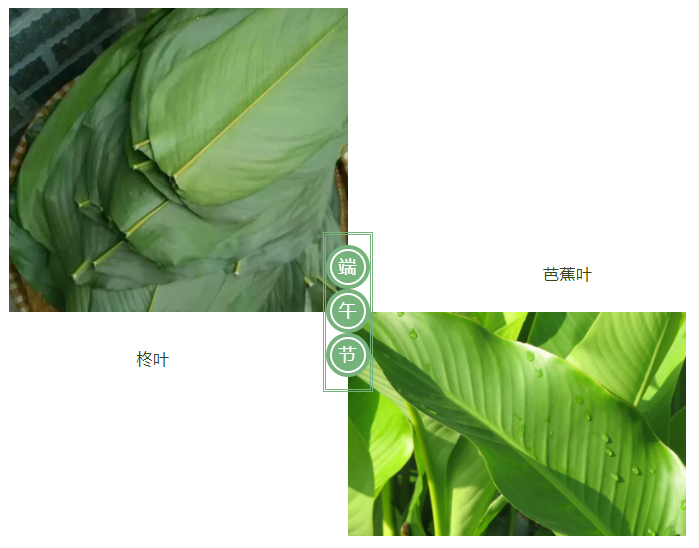 F66永乐医纺