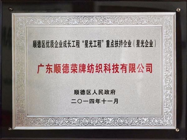 F66永乐-2012年获顺德政府颁发“星光企业”称号