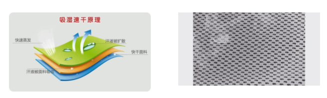 F66永乐医用纺织