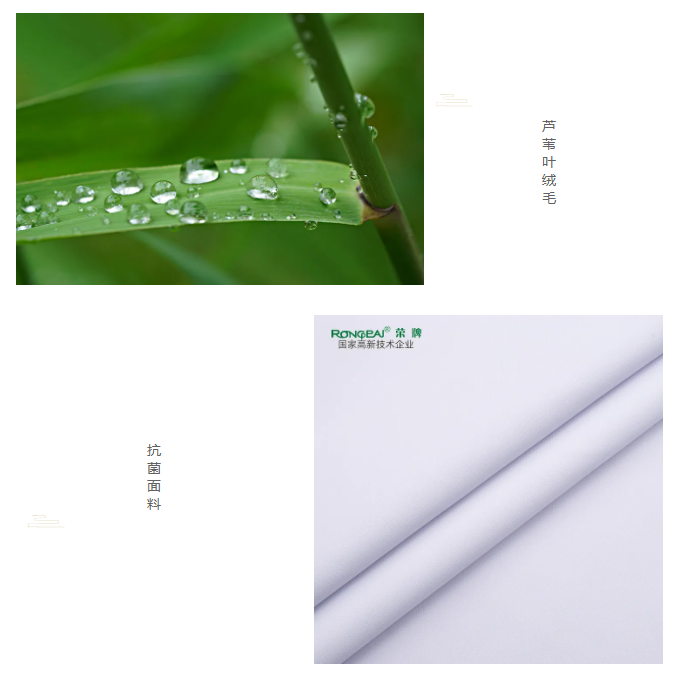 F66永乐医纺